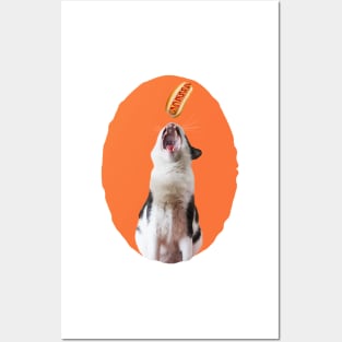 My Fav Food Is Hot Dog Posters and Art